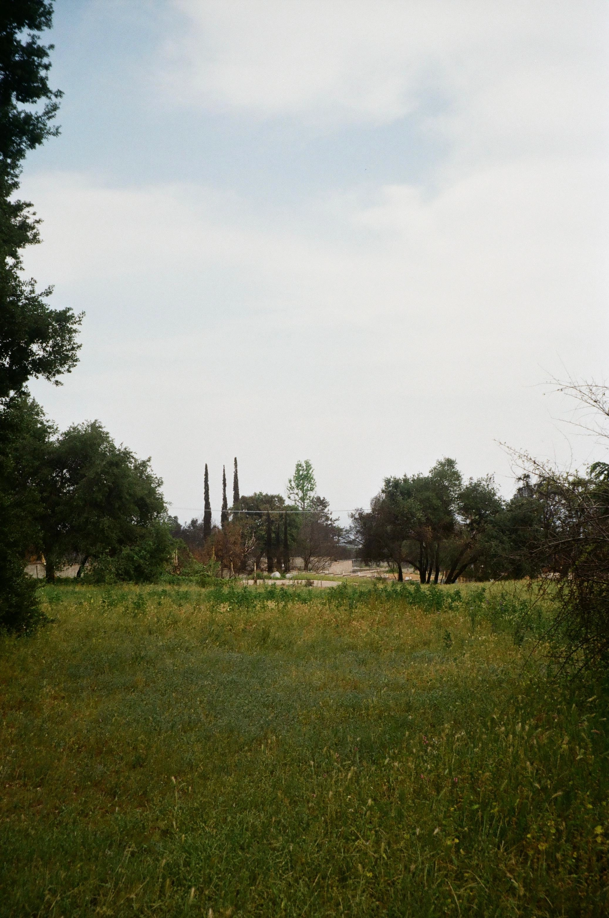 Altadena - 2025